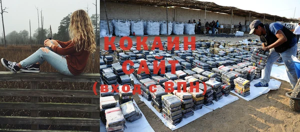 прущие грибы Володарск
