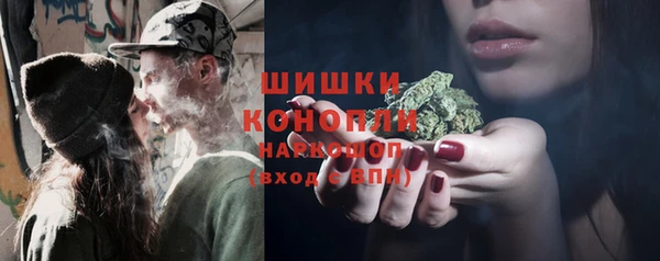 шишки Волосово