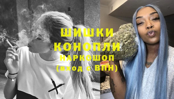 мдпв Волоколамск
