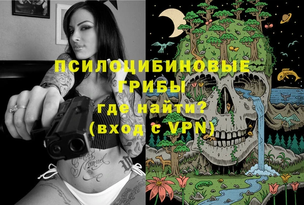 мдпв Волоколамск
