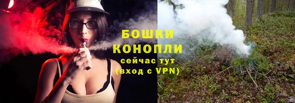 шишки Волосово