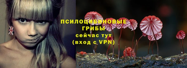 шишки Волосово