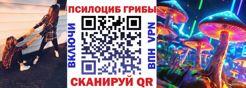 Псилоцибиновые грибы прущие грибы  Купить где  Гагарин 